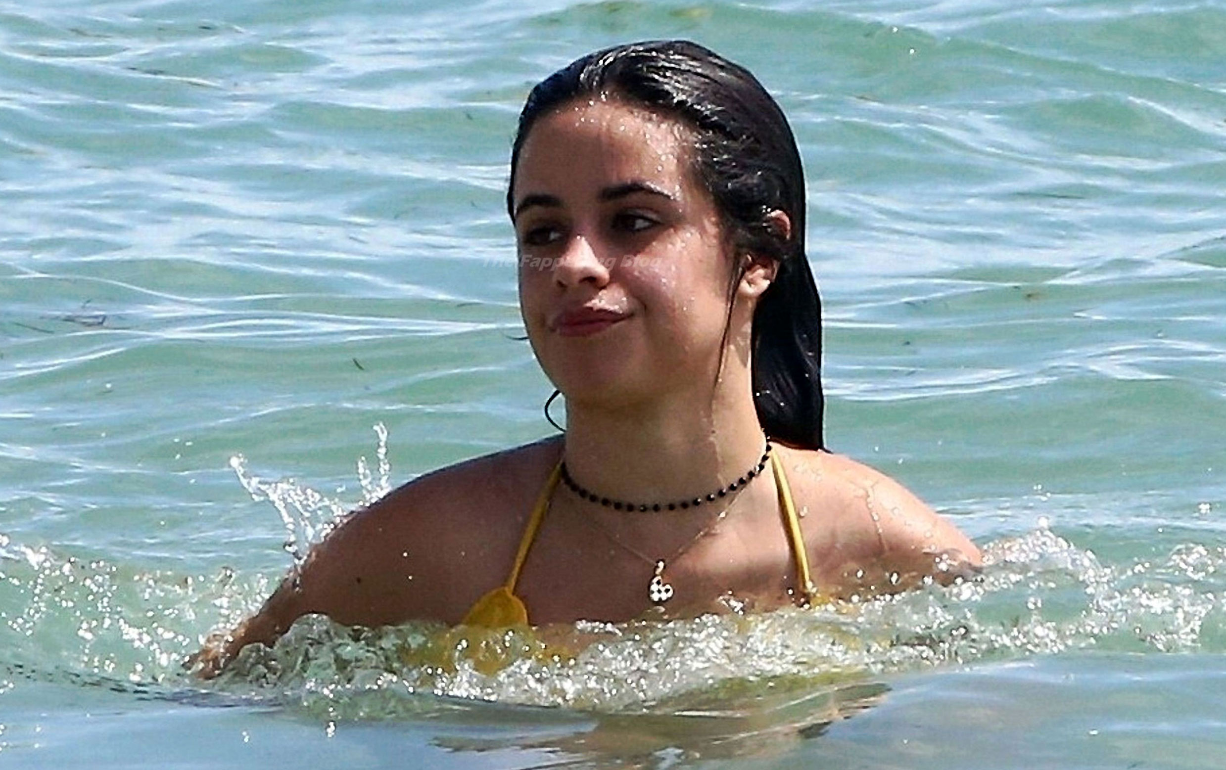 Camila Cabello Nude And Hot Pics Collection Leaked Diaries