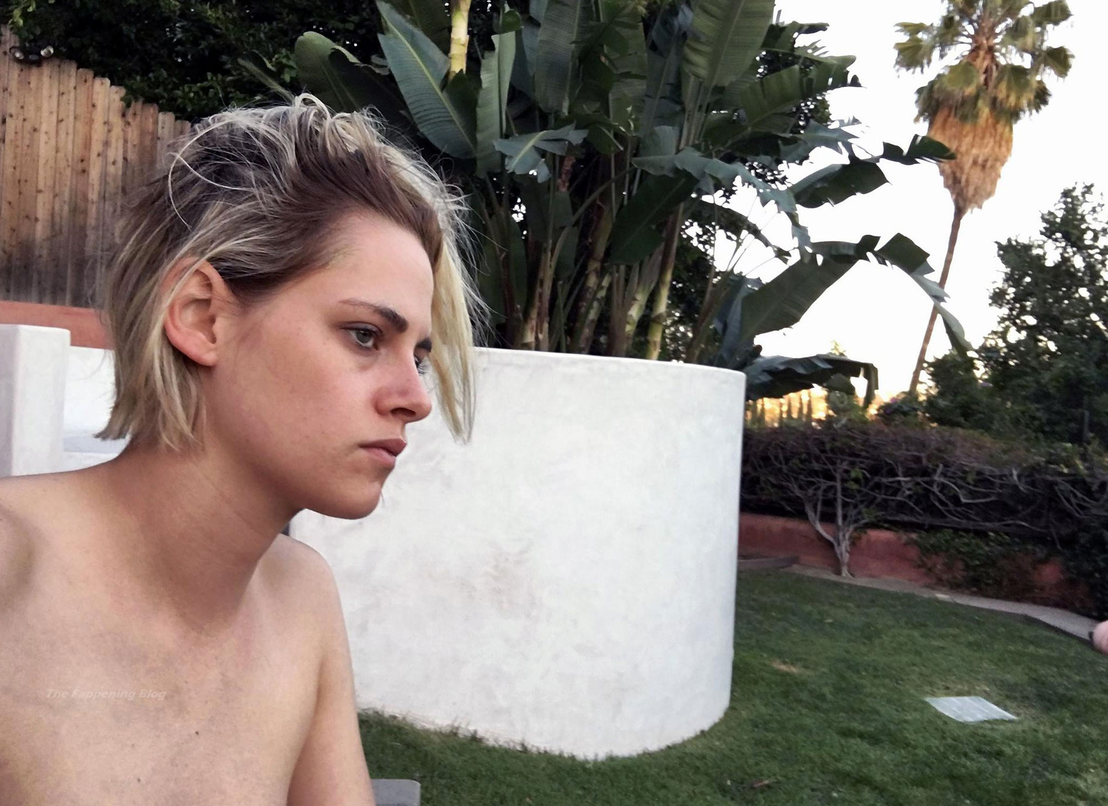 Kristen Stewart nude porn topless hot LeakedDiaries 52
