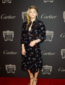 Chloe Grace Moretz Nude and Sexy Photos nude – Leaked Diaries