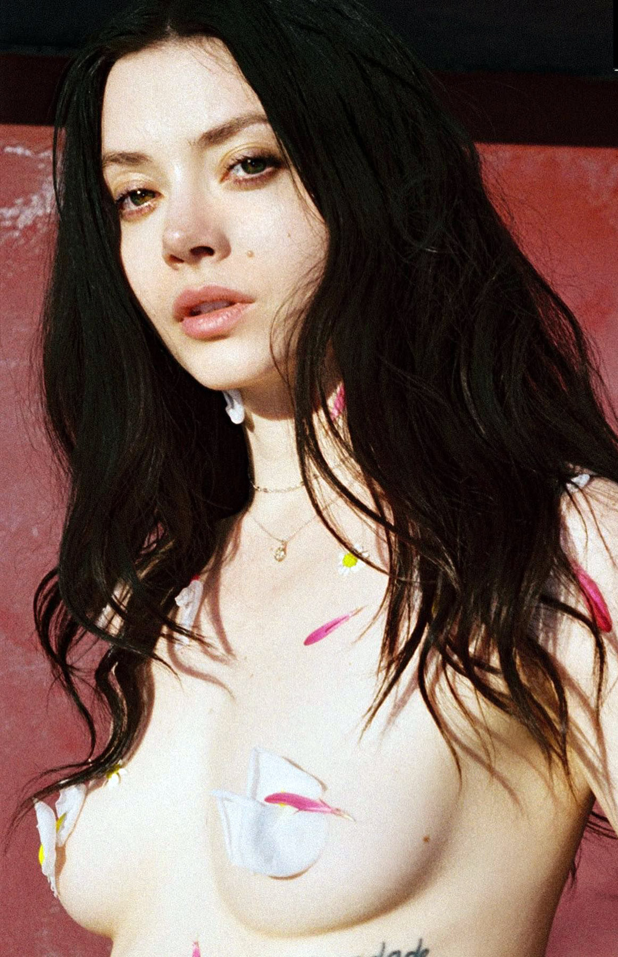 Alina Lee nude hot sexy boobs pussy leakeddiaries 17