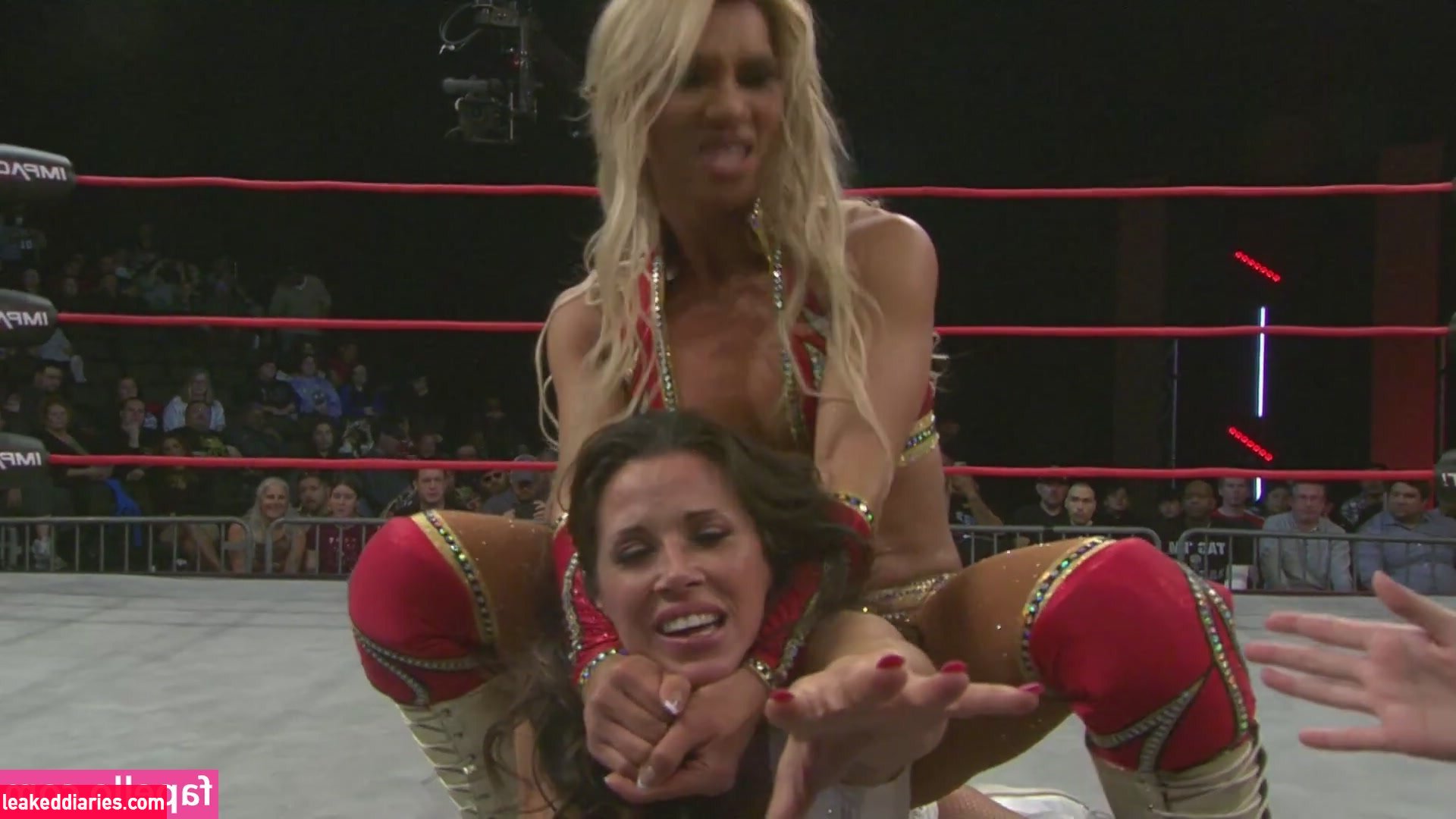 Mickie James (michelejames, themickiejames) photo 174