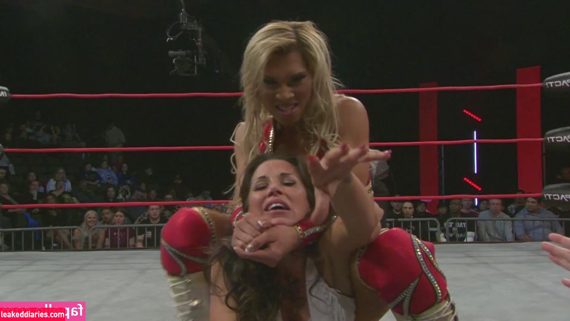 Mickie James (michelejames, themickiejames) photo 175