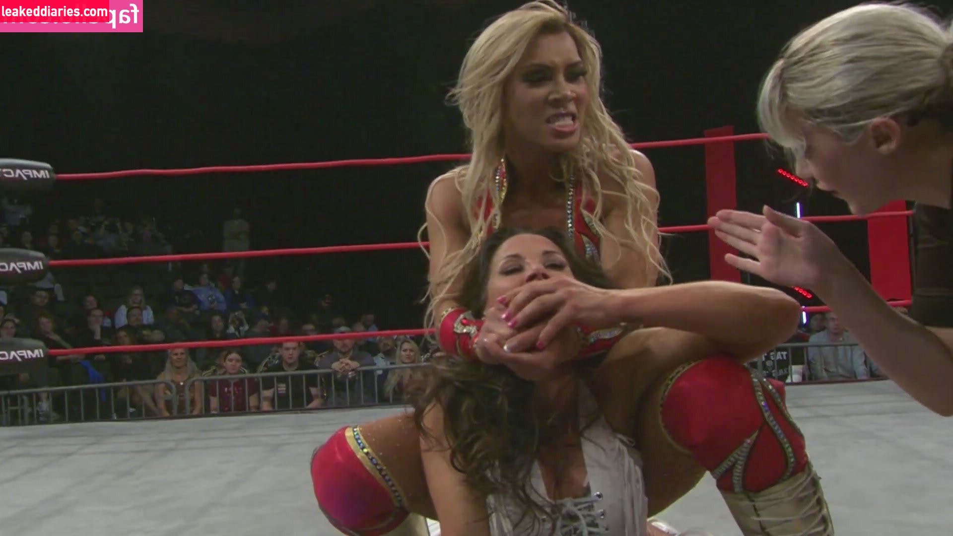 Mickie James (michelejames, themickiejames) photo 181