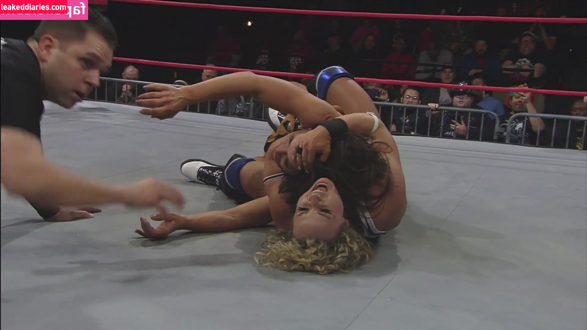 Mickie James (michelejames, themickiejames) photo 359