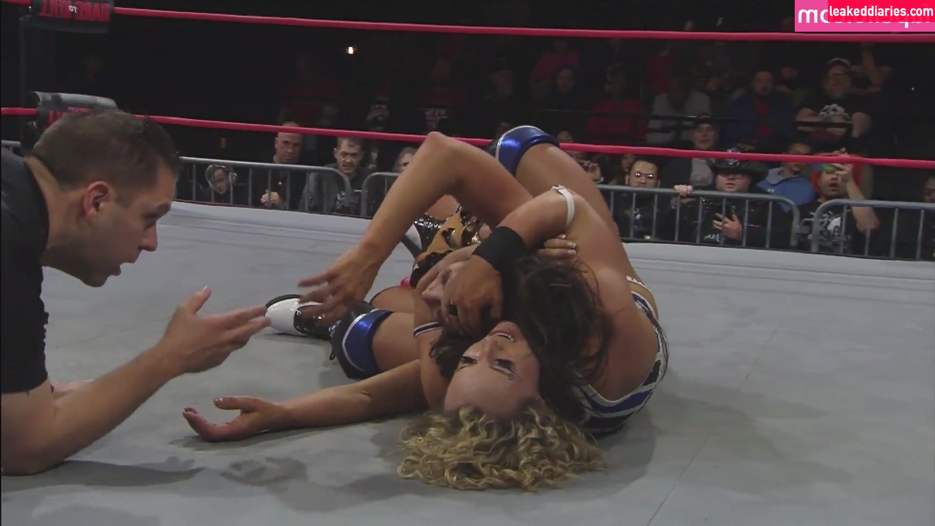 Mickie James (michelejames, themickiejames) photo 360