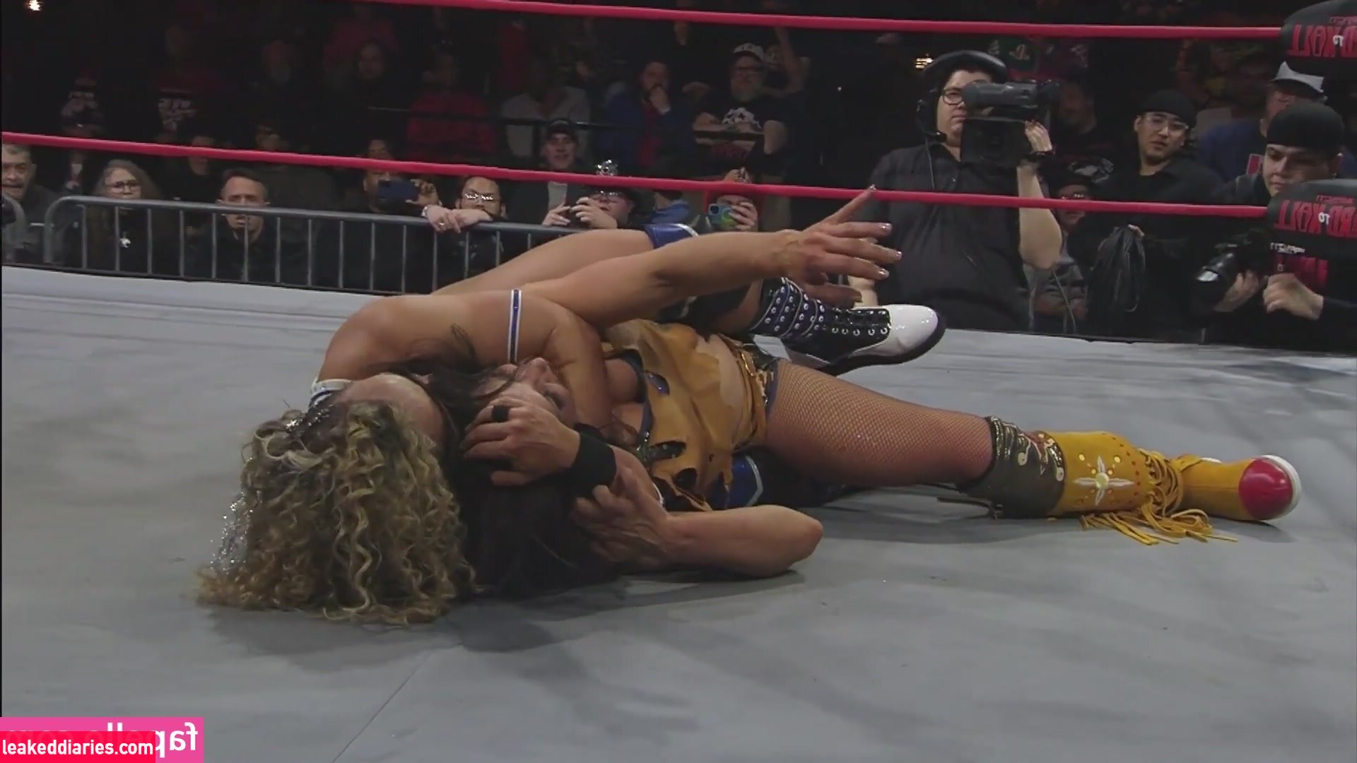 Mickie James (michelejames, themickiejames) photo 365