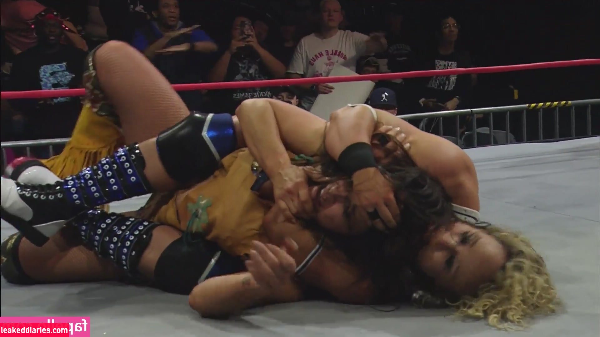 Mickie James (michelejames, themickiejames) photo 369