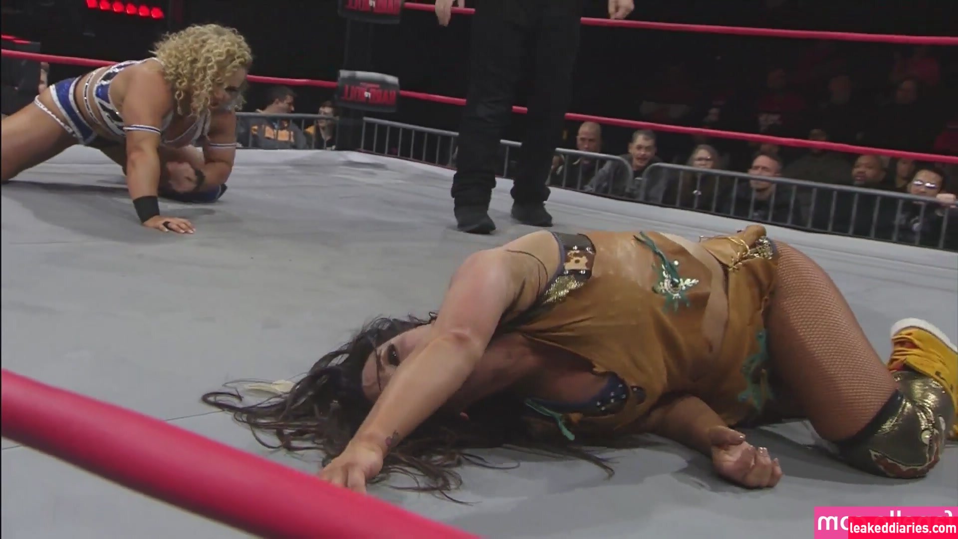 Mickie James (michelejames, themickiejames) photo 390