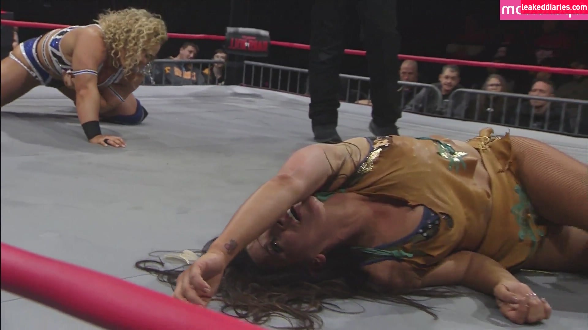 Mickie James (michelejames, themickiejames) photo 391