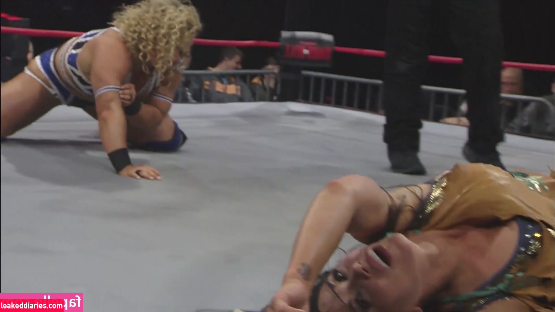 Mickie James (michelejames, themickiejames) photo 393