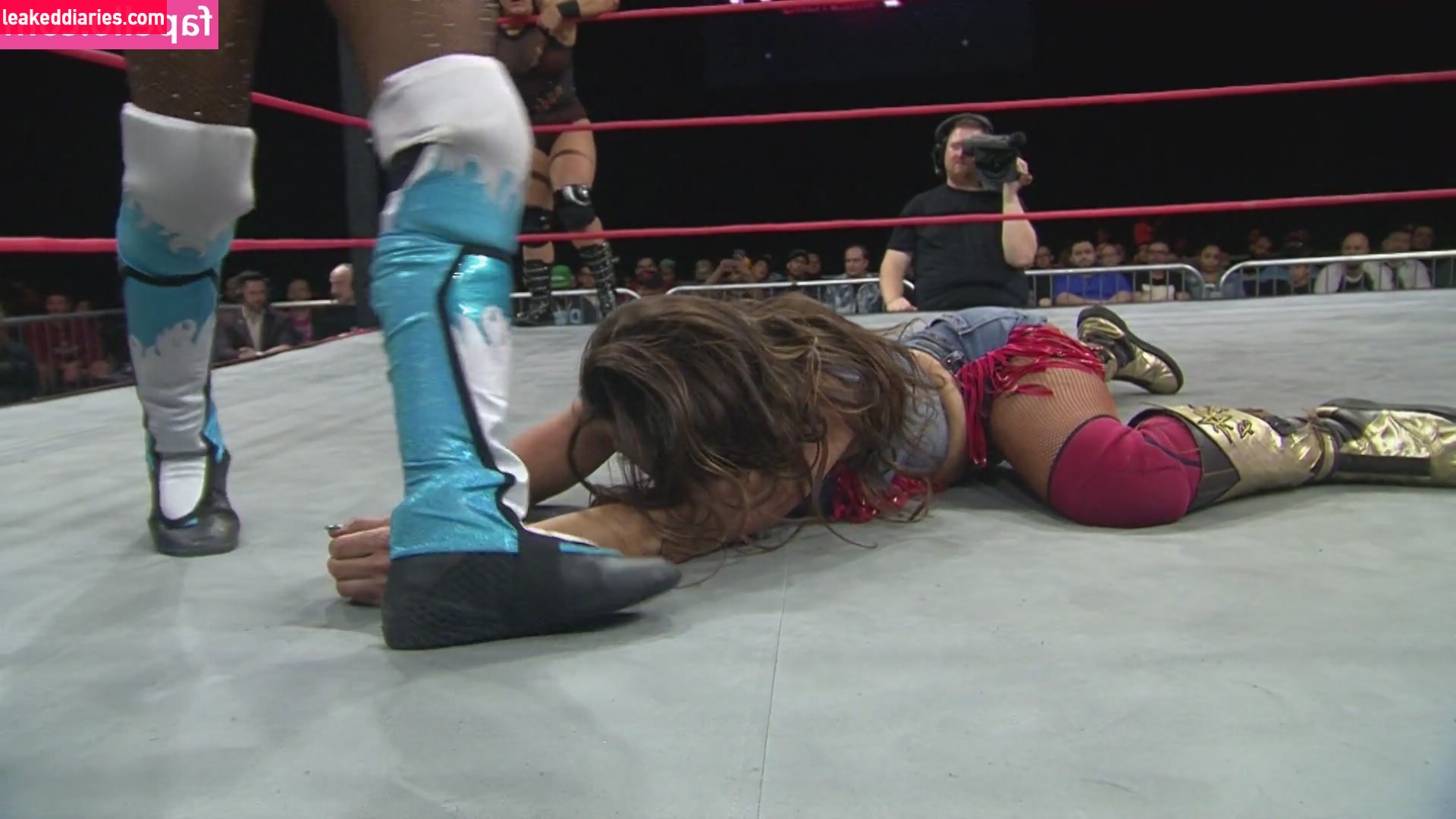 Mickie James (michelejames, themickiejames) photo 446