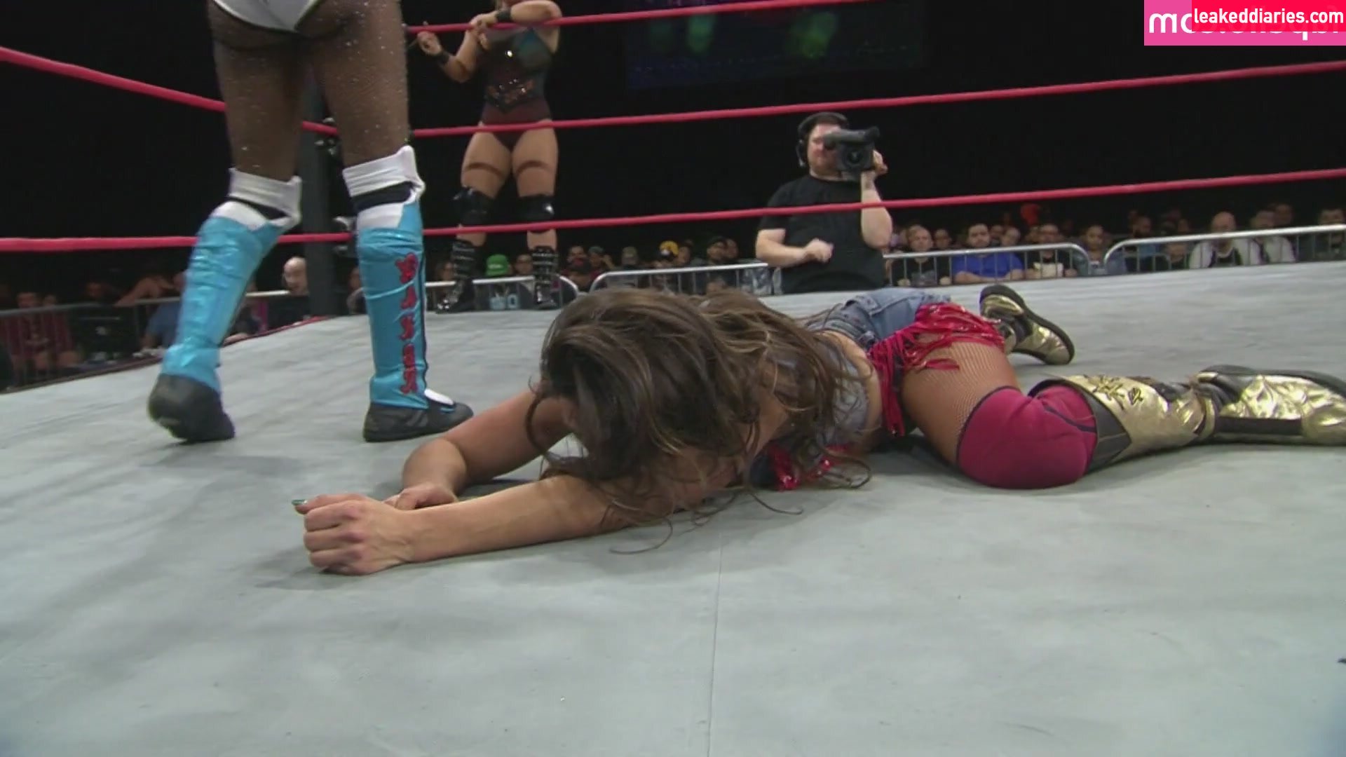 Mickie James (michelejames, themickiejames) photo 447