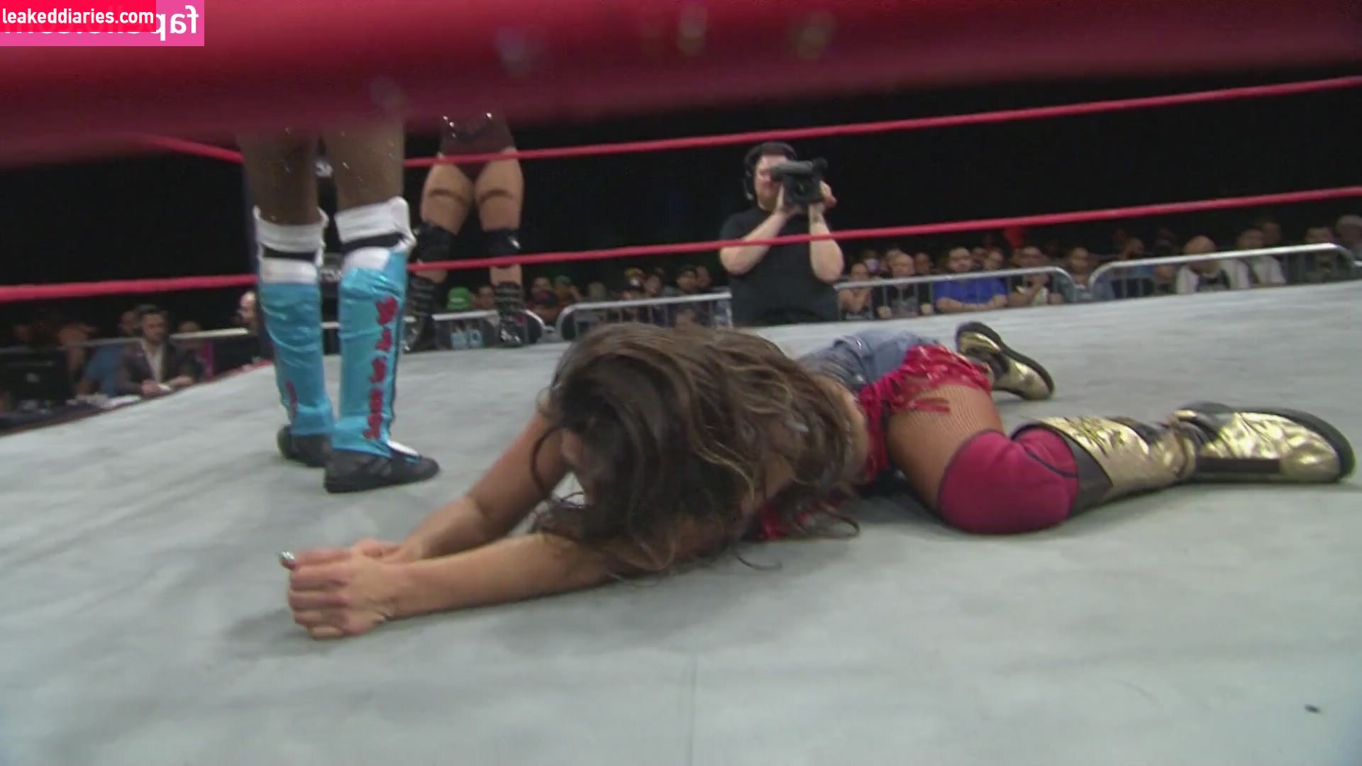 Mickie James (michelejames, themickiejames) photo 448