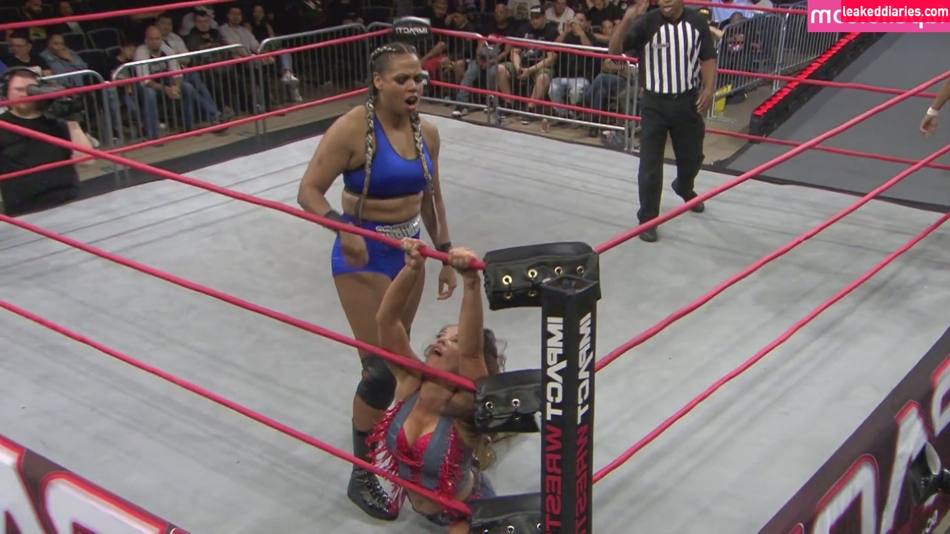 Mickie James (michelejames, themickiejames) photo 461