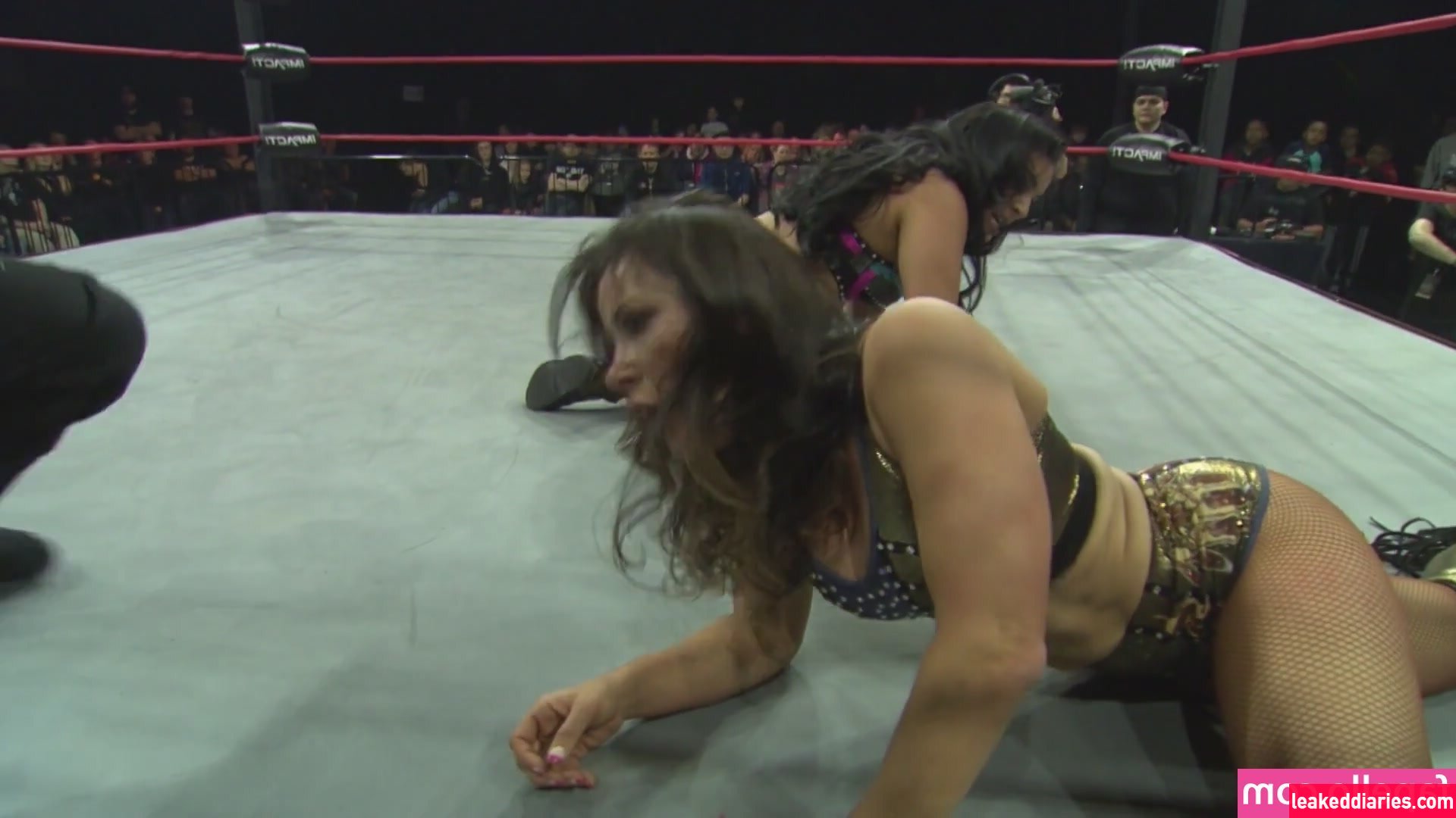 Mickie James (michelejames, themickiejames) photo 483